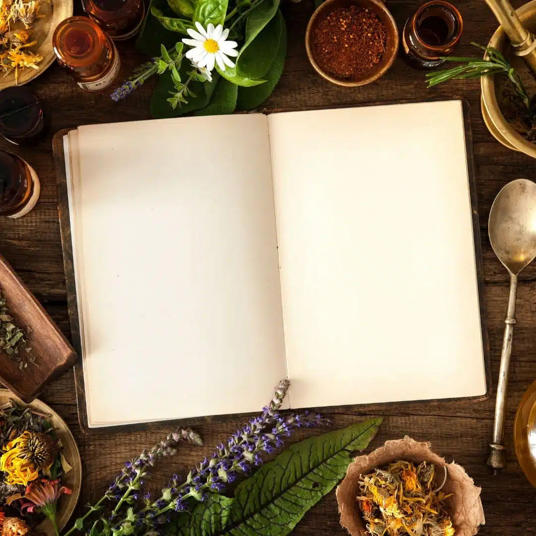 Comment trouver un grossiste en maquillage pour ma boutique ?