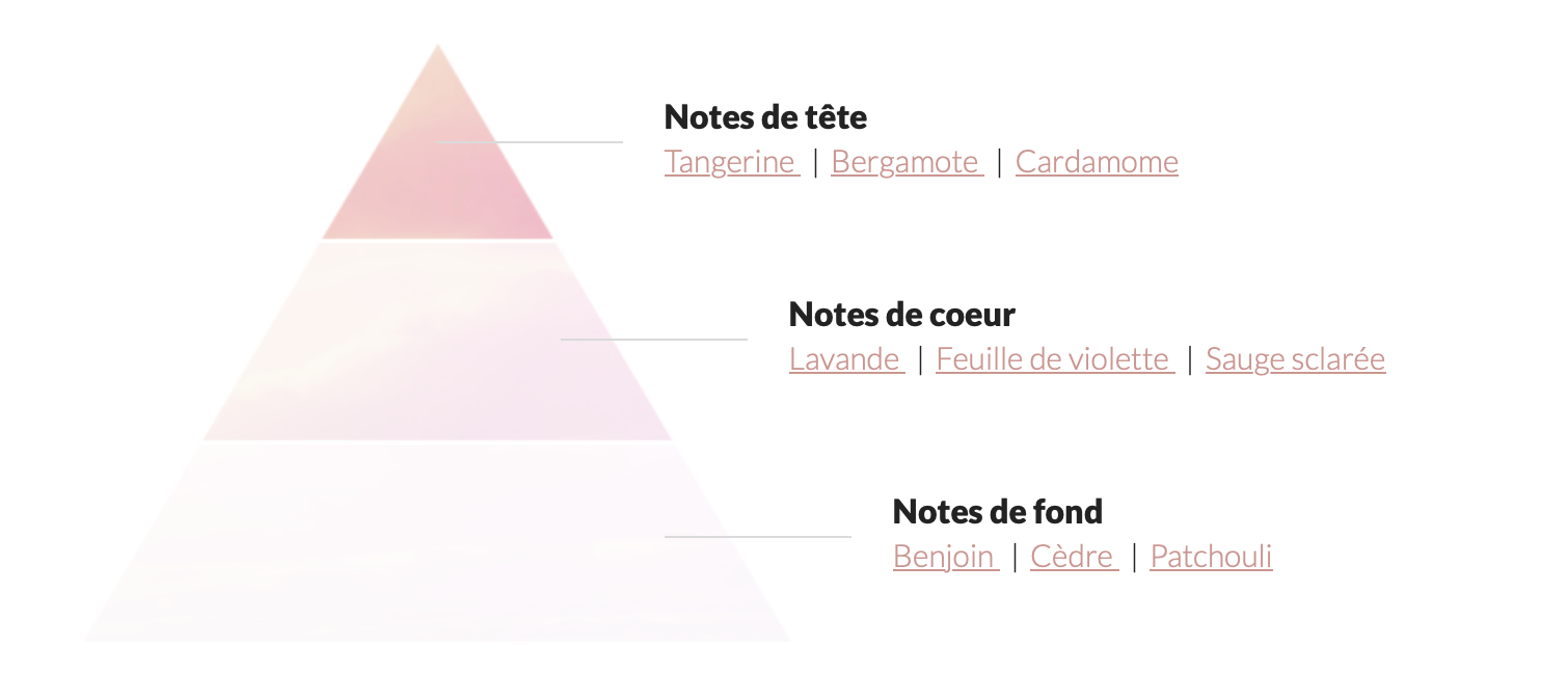 Set of 6 - One Billionaire Regal men's fragrance - Couture fragrance