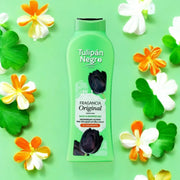 Set of 6 - Original Shower Gel 650ml - Tulipan Negro