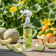 Pack of 6 - Multi-Purpose Melon Air Freshener Spray 250ml - The Fruit Company