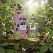 Pack of 6 - Blackberry Gourmand Scent 90ml - Prady