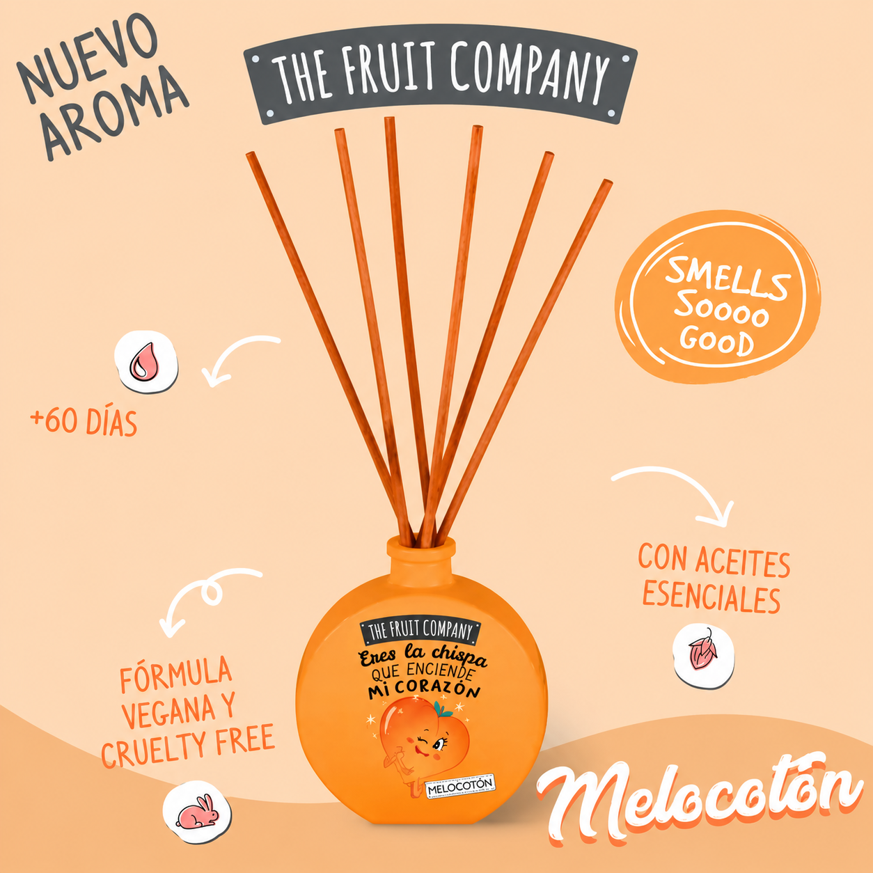 Set of 6 - Mikado peach scent - The fruit company
