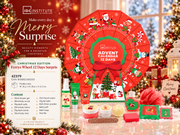 Lot de 3 Calendriers - Calendrier de L'avent Carrousel "Christmas Ferry " 12 Jours - IDC Institute