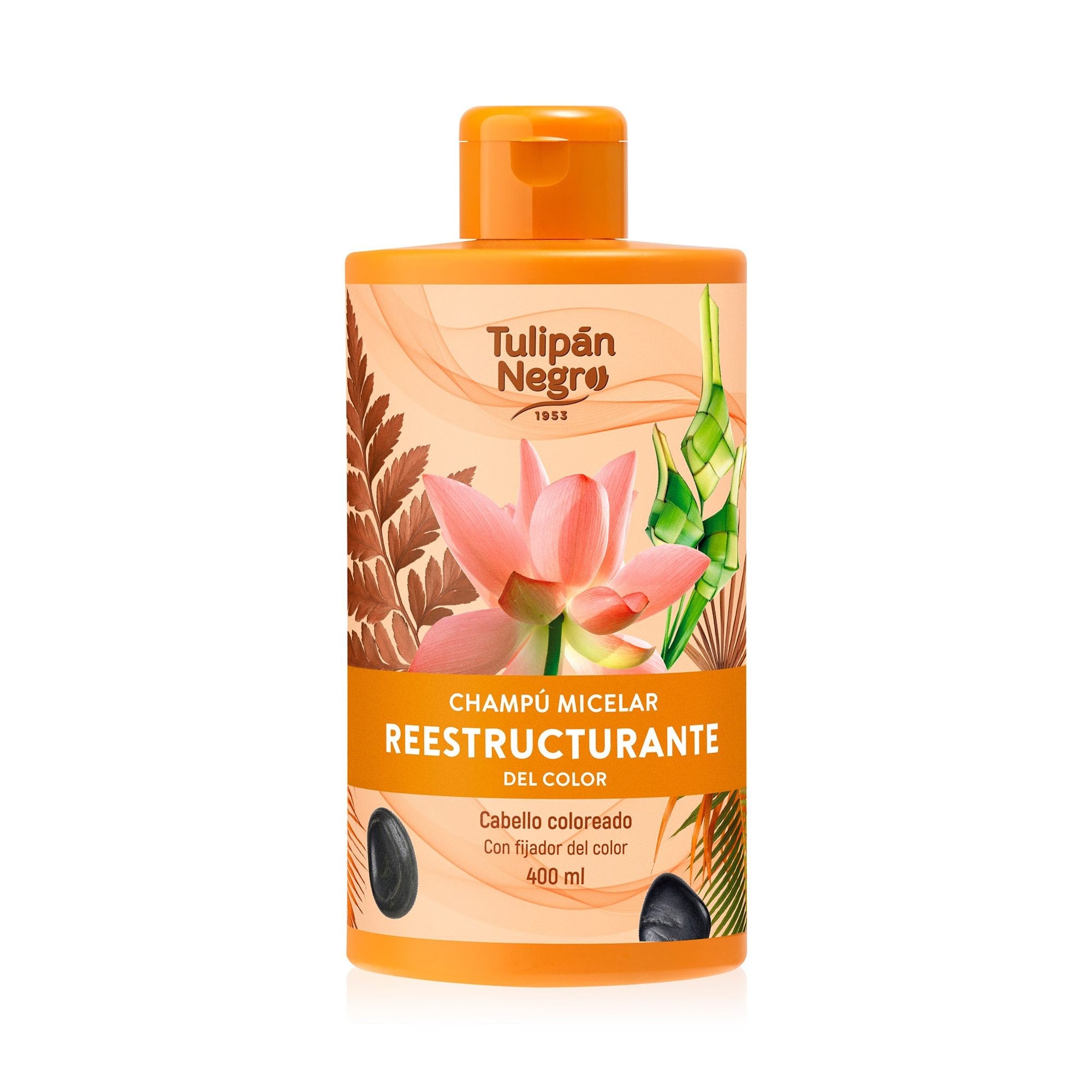Lot de 2 - Shampoing micellaire restructurant couleur 400ml - Tulipan negro