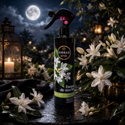Lot de 6 PIèces - Spray d'Ambiance & Tissu Dama de Noche 280ml - Ambar